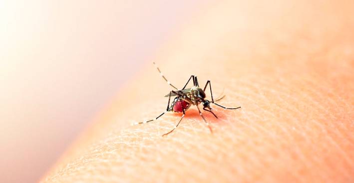 protegerse-del-dengue-con-el-nuevo-repelente-en-spray-de-laboratorios-sayp